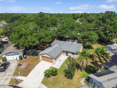 Welcome to this charming 3-bedroom, 2-bathroom home situated on on Countryside Country Club in Florida - for sale on GolfHomes.com, golf home, golf lot