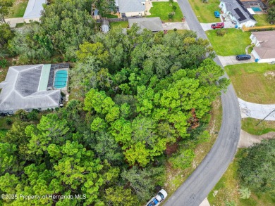 BUILD YOUR DREAM HOME on this spacious 0.40-acre CORNER lot on Oak Hills Country Club in Florida - for sale on GolfHomes.com, golf home, golf lot