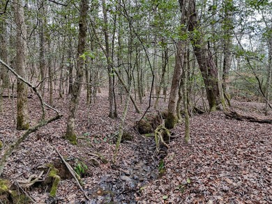 A TRULY SPECIAL LAKEFRONT PROPERTY! Build your dream LAKEFRONT on Old Union Golf Course in Georgia - for sale on GolfHomes.com, golf home, golf lot