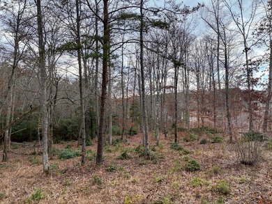 A TRULY SPECIAL LAKEFRONT PROPERTY! Build your dream LAKEFRONT on Old Union Golf Course in Georgia - for sale on GolfHomes.com, golf home, golf lot