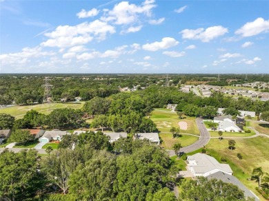A Wonderful Find in the Plantation at Leesburg; Small Town on Plantation Golf Club in Florida - for sale on GolfHomes.com, golf home, golf lot
