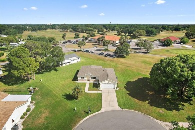 ATTENTION GOLFERS!!!  GOLF COURSE VIEW!!  THIS WELL MAINTAINED on The Links of Spruce Creek in Florida - for sale on GolfHomes.com, golf home, golf lot