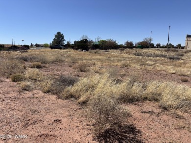 Prime 1-Acre Commercial Property Near Golf Course - Endless on Snowflake Municipal Golf Course in Arizona - for sale on GolfHomes.com, golf home, golf lot