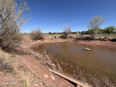Prime 1-Acre Commercial Property Near Golf Course - Endless on Snowflake Municipal Golf Course in Arizona - for sale on GolfHomes.com, golf home, golf lot