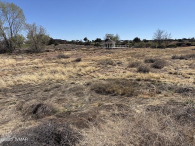 Prime 1-Acre Commercial Property Near Golf Course - Endless on Snowflake Municipal Golf Course in Arizona - for sale on GolfHomes.com, golf home, golf lot