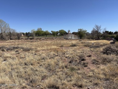 Prime 1-Acre Commercial Property Near Golf Course - Endless on Snowflake Municipal Golf Course in Arizona - for sale on GolfHomes.com, golf home, golf lot