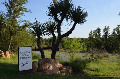 Beautiful acre lot, surrounded by green belt, offering panoramic on Blue Lake Golf Club in Texas - for sale on GolfHomes.com, golf home, golf lot