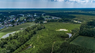 Experience Coastal Living at Its Best! Nestled in the peaceful on Aberdeen Golf and Country Club in South Carolina - for sale on GolfHomes.com, golf home, golf lot