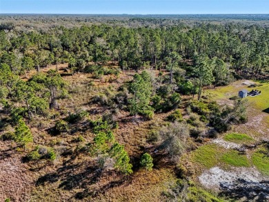 REDUCED PRICE. If you're looking for an opportunity to invest in on Deep Creek Golf Club in Florida - for sale on GolfHomes.com, golf home, golf lot
