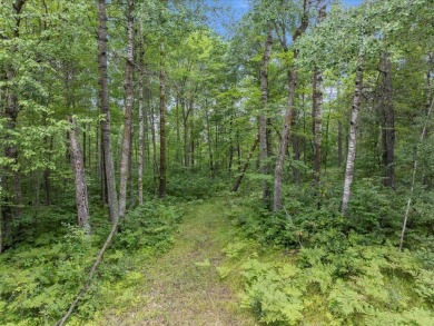 Perfect opportunity for you to build your forever home or cabin on Breezy Point Golf Course Resort in Minnesota - for sale on GolfHomes.com, golf home, golf lot