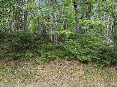 Perfect opportunity for you to build your forever home or cabin on Breezy Point Golf Course Resort in Minnesota - for sale on GolfHomes.com, golf home, golf lot