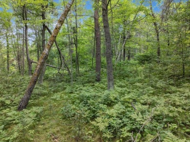 Perfect opportunity for you to build your forever home or cabin on Breezy Point Golf Course Resort in Minnesota - for sale on GolfHomes.com, golf home, golf lot