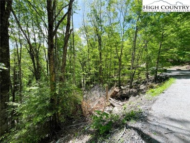 Great opportunity to own 3 contiguous lots on Beech! Excellent on Beech Mountain Club in North Carolina - for sale on GolfHomes.com, golf home, golf lot