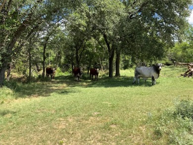 Wouldn't normally advise hunting on small acreage, but this 24 on Creek Bend Golf Course in Texas - for sale on GolfHomes.com, golf home, golf lot