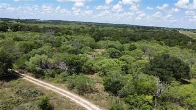 Wouldn't normally advise hunting on small acreage, but this 24 on Creek Bend Golf Course in Texas - for sale on GolfHomes.com, golf home, golf lot