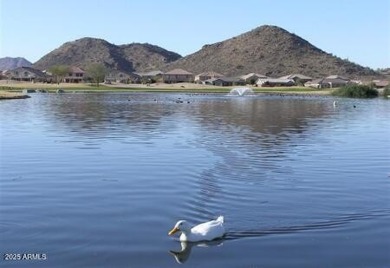 This beautifully maintained home features a sparkling salt water on The Golf Club At Johnson Ranch in Arizona - for sale on GolfHomes.com, golf home, golf lot