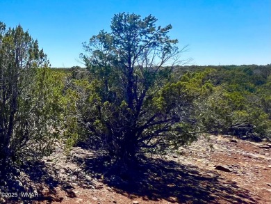 Beautiful 10.33 acres heavily treed with pinon pines and juniper on Silver Creek Golf Club in Arizona - for sale on GolfHomes.com, golf home, golf lot