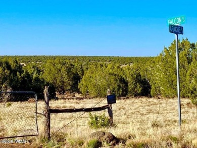 Beautiful 10.33 acres heavily treed with pinon pines and juniper on Silver Creek Golf Club in Arizona - for sale on GolfHomes.com, golf home, golf lot