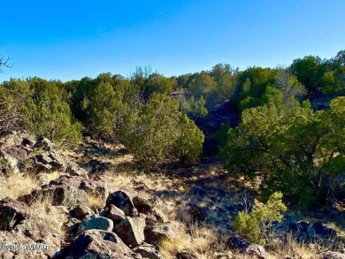 Beautiful 10.33 acres heavily treed with pinon pines and juniper on Silver Creek Golf Club in Arizona - for sale on GolfHomes.com, golf home, golf lot