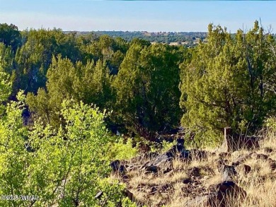 Beautiful 10.33 acres heavily treed with pinon pines and juniper on Silver Creek Golf Club in Arizona - for sale on GolfHomes.com, golf home, golf lot