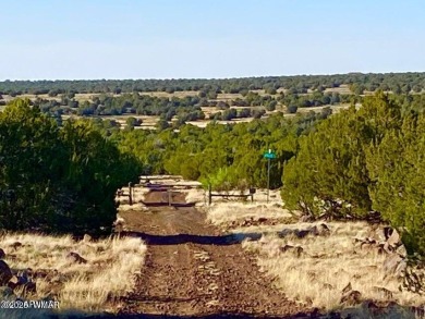 Beautiful 10.33 acres heavily treed with pinon pines and juniper on Silver Creek Golf Club in Arizona - for sale on GolfHomes.com, golf home, golf lot