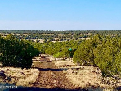 Beautiful 10.33 acres heavily treed with pinon pines and juniper on Silver Creek Golf Club in Arizona - for sale on GolfHomes.com, golf home, golf lot