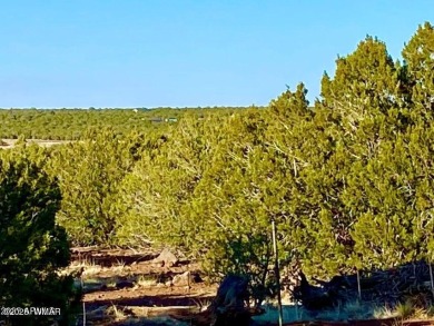 Beautiful 10.33 acres heavily treed with pinon pines and juniper on Silver Creek Golf Club in Arizona - for sale on GolfHomes.com, golf home, golf lot