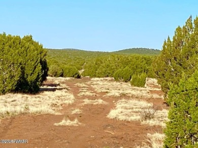 Beautiful 10.33 acres heavily treed with pinon pines and juniper on Silver Creek Golf Club in Arizona - for sale on GolfHomes.com, golf home, golf lot