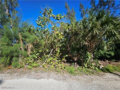 Great price on 3 lots together in the Pineland area! Build your on Alden Pines Golf Club in Florida - for sale on GolfHomes.com, golf home, golf lot