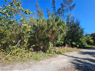 Great price on 3 lots together in the Pineland area! Build your on Alden Pines Golf Club in Florida - for sale on GolfHomes.com, golf home, golf lot
