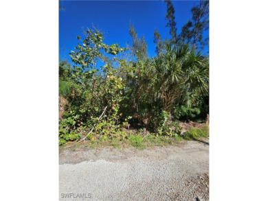 Great price on 3 lots together in the Pineland area! Build your on Alden Pines Golf Club in Florida - for sale on GolfHomes.com, golf home, golf lot
