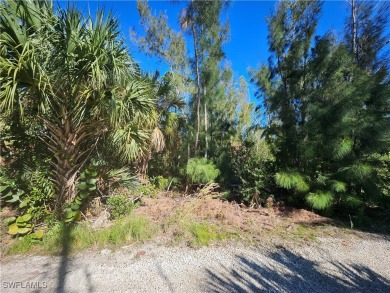 Great price on 3 lots together in the Pineland area! Build your on Alden Pines Golf Club in Florida - for sale on GolfHomes.com, golf home, golf lot