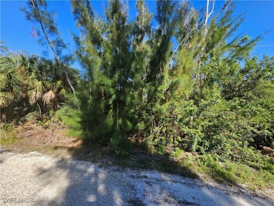 Great price on 3 lots together in the Pineland area! Build your on Alden Pines Golf Club in Florida - for sale on GolfHomes.com, golf home, golf lot