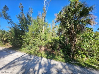 Great price on 3 lots together in the Pineland area! Build your on Alden Pines Golf Club in Florida - for sale on GolfHomes.com, golf home, golf lot