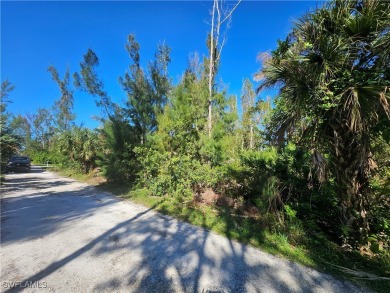 Great price on 3 lots together in the Pineland area! Build your on Alden Pines Golf Club in Florida - for sale on GolfHomes.com, golf home, golf lot