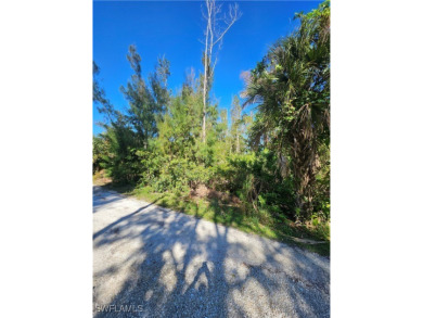 Great price on 3 lots together in the Pineland area! Build your on Alden Pines Golf Club in Florida - for sale on GolfHomes.com, golf home, golf lot