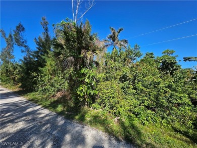 Great price on 3 lots together in the Pineland area! Build your on Alden Pines Golf Club in Florida - for sale on GolfHomes.com, golf home, golf lot