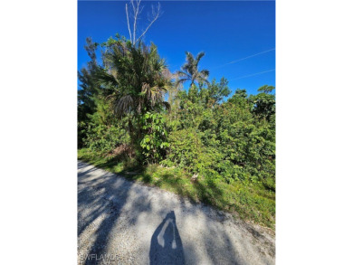Great price on 3 lots together in the Pineland area! Build your on Alden Pines Golf Club in Florida - for sale on GolfHomes.com, golf home, golf lot