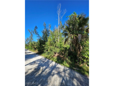 Great price on 3 lots together in the Pineland area! Build your on Alden Pines Golf Club in Florida - for sale on GolfHomes.com, golf home, golf lot