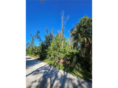 Great price on 3 lots together in the Pineland area! Build your on Alden Pines Golf Club in Florida - for sale on GolfHomes.com, golf home, golf lot