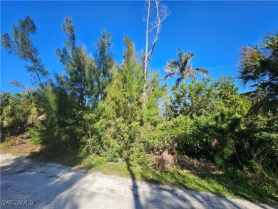 Great price on 3 lots together in the Pineland area! Build your on Alden Pines Golf Club in Florida - for sale on GolfHomes.com, golf home, golf lot