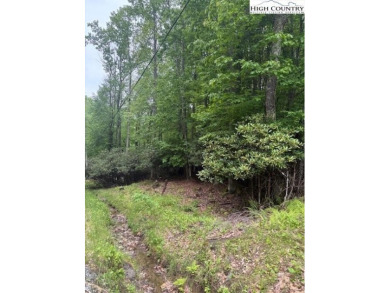 Beautiful Corner Wooded Lot, with Roads on three sides, Level on Beech Mountain Club in North Carolina - for sale on GolfHomes.com, golf home, golf lot