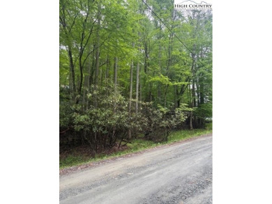 Beautiful Corner Wooded Lot, with Roads on three sides, Level on Beech Mountain Club in North Carolina - for sale on GolfHomes.com, golf home, golf lot