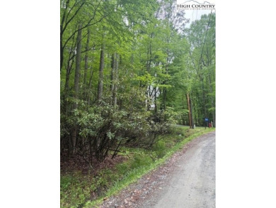 Beautiful Corner Wooded Lot, with Roads on three sides, Level on Beech Mountain Club in North Carolina - for sale on GolfHomes.com, golf home, golf lot