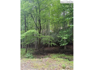 Beautiful Corner Wooded Lot, with Roads on three sides, Level on Beech Mountain Club in North Carolina - for sale on GolfHomes.com, golf home, golf lot