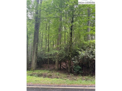Beautiful Corner Wooded Lot, with Roads on three sides, Level on Beech Mountain Club in North Carolina - for sale on GolfHomes.com, golf home, golf lot