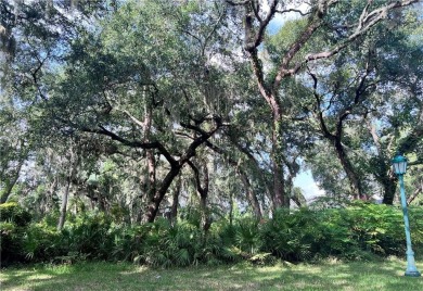 Buildable Corner Lot on the Northside of Sea Island. Wooded with on Ocean Forest Golf Club in Georgia - for sale on GolfHomes.com, golf home, golf lot