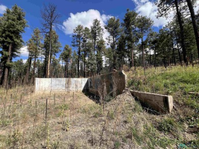 Welcome to 57 E Forest Dr in beautiful Pendaries Villageyour on Pendaries Village Community Assoc. in New Mexico - for sale on GolfHomes.com, golf home, golf lot