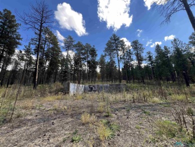 Welcome to 57 E Forest Dr in beautiful Pendaries Villageyour on Pendaries Village Community Assoc. in New Mexico - for sale on GolfHomes.com, golf home, golf lot