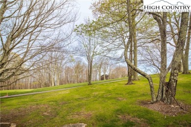 Everything you need on the 7th Fairway of Grassy Gap Golf on Beech Mountain Club in North Carolina - for sale on GolfHomes.com, golf home, golf lot